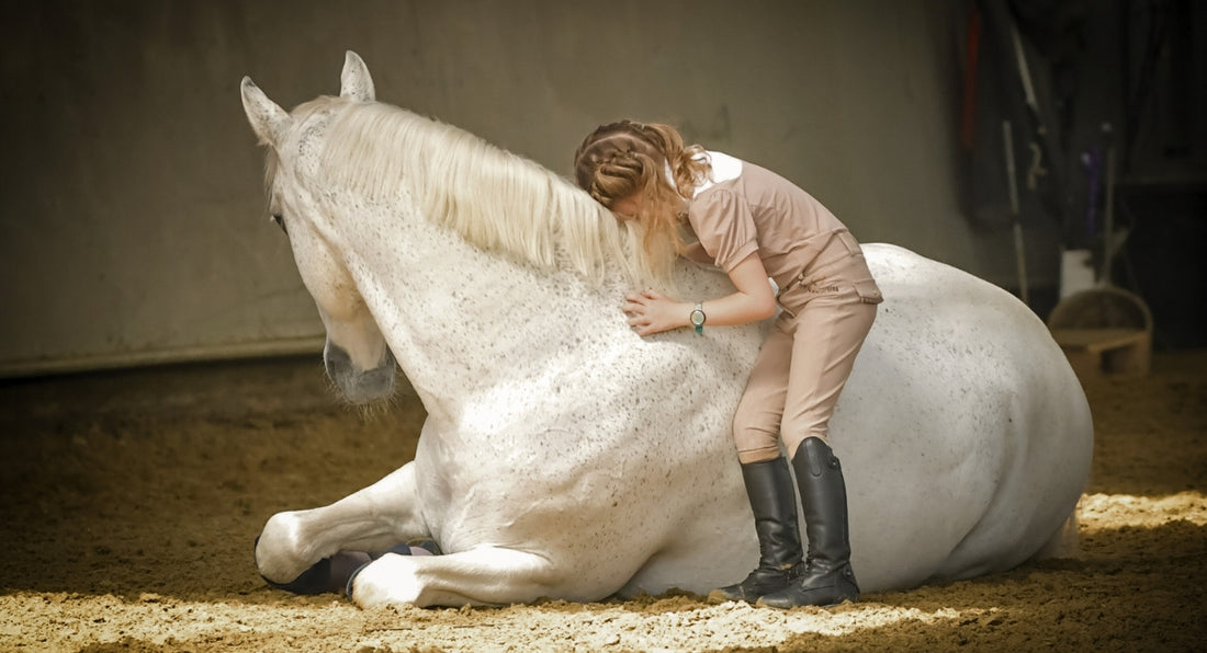 Kreupelheid bij paarden en pony’s: 7 dingen die je moet weten!