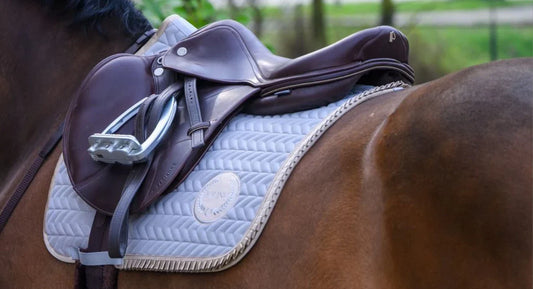 Paarden zadels: Hoe kies je het juiste zadel? Lees het hier!