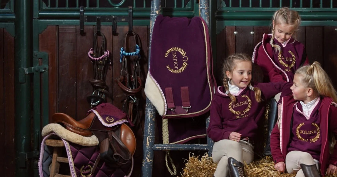 All Riding Disciplines Horse riding: All about the levels and different disciplines! | Joline ...