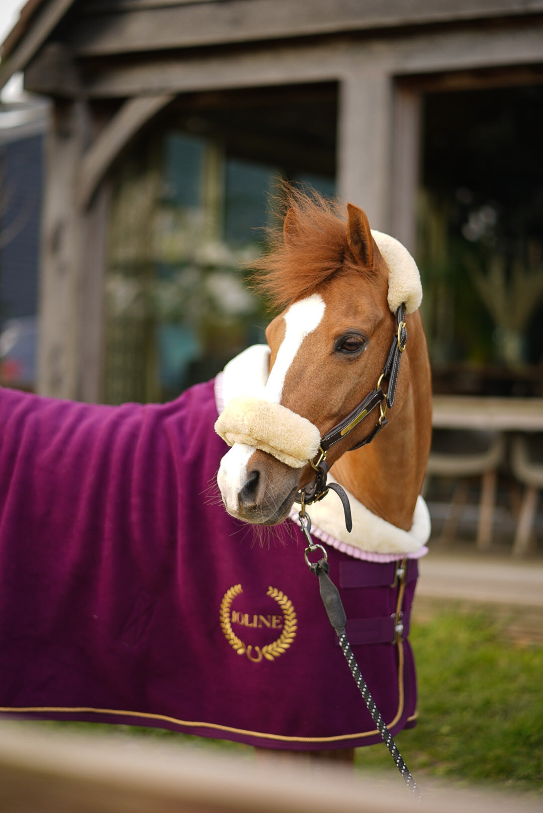 Showdeken_Polarfleece_Rood-3